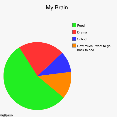My Brain  | How much I want to go back to bed, School, Drama, Food | image tagged in funny,pie charts | made w/ Imgflip chart maker