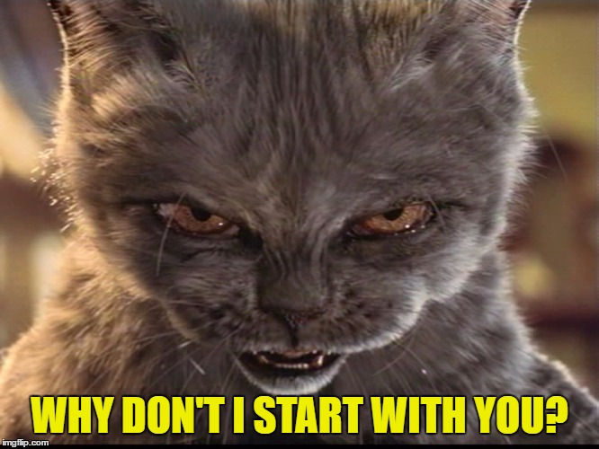 Evil-Cat | WHY DON'T I START WITH YOU? | image tagged in evil-cat | made w/ Imgflip meme maker