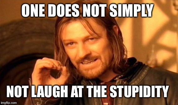 One Does Not Simply Meme | ONE DOES NOT SIMPLY NOT LAUGH AT THE STUPIDITY | image tagged in memes,one does not simply | made w/ Imgflip meme maker