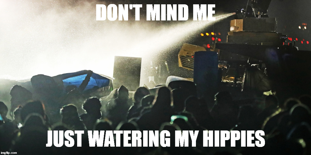 watering my hippies | DON'T MIND ME; JUST WATERING MY HIPPIES | image tagged in standing rock,water is life,watering,hippies | made w/ Imgflip meme maker