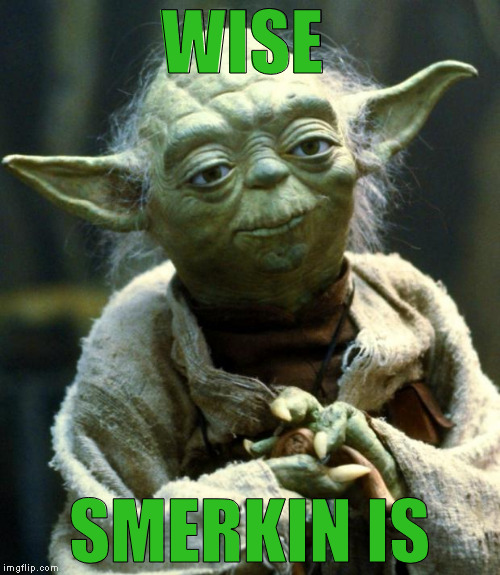 Star Wars Yoda Meme | WISE SMERKIN IS | image tagged in memes,star wars yoda | made w/ Imgflip meme maker