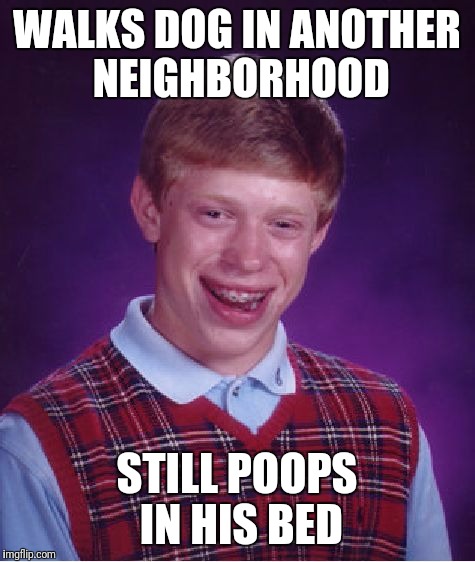 Bad Luck Brian Meme | WALKS DOG IN ANOTHER NEIGHBORHOOD STILL POOPS IN HIS BED | image tagged in memes,bad luck brian | made w/ Imgflip meme maker