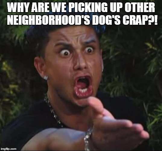 pauly | WHY ARE WE PICKING UP OTHER NEIGHBORHOOD'S DOG'S CRAP?! | image tagged in pauly | made w/ Imgflip meme maker