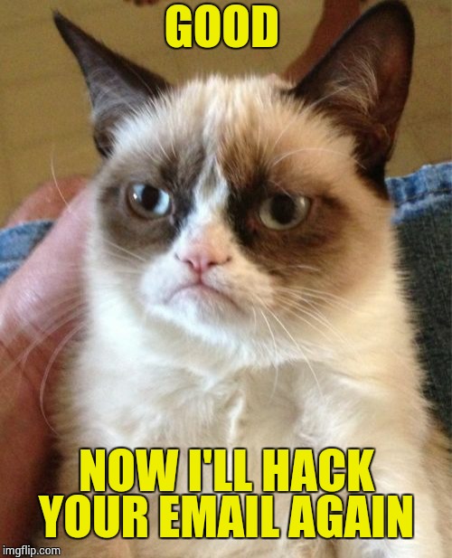 Grumpy Cat Meme | GOOD NOW I'LL HACK YOUR EMAIL AGAIN | image tagged in memes,grumpy cat | made w/ Imgflip meme maker