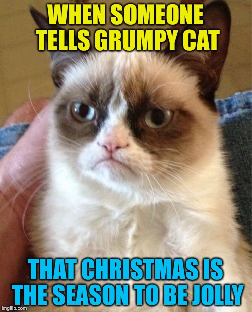 Deck the halls with bows of holly!! | WHEN SOMEONE TELLS GRUMPY CAT; THAT CHRISTMAS IS THE SEASON TO BE JOLLY | image tagged in memes,grumpy cat,christmas,'tis the season,happy holidays,funny | made w/ Imgflip meme maker