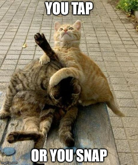 Cat Wrestling | YOU TAP; OR YOU SNAP | image tagged in cat wrestling | made w/ Imgflip meme maker