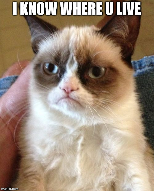 I KNOW WHERE U LIVE | image tagged in memes,grumpy cat | made w/ Imgflip meme maker