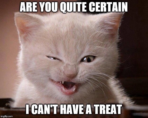ARE YOU QUITE CERTAIN; I CAN'T HAVE A TREAT | image tagged in do you enjoy pain | made w/ Imgflip meme maker