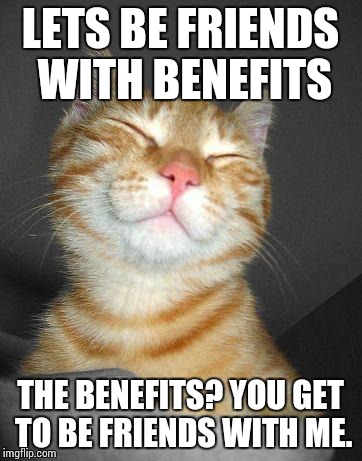 Smug Cat | LETS BE FRIENDS WITH BENEFITS; THE BENEFITS? YOU GET TO BE FRIENDS WITH ME. | image tagged in smug cat | made w/ Imgflip meme maker