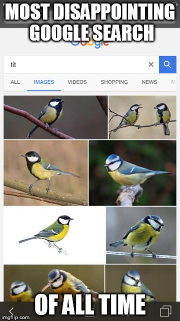 Dissapointing Google | MOST DISAPPOINTING GOOGLE SEARCH; OF ALL TIME | image tagged in dissapointing google | made w/ Imgflip meme maker