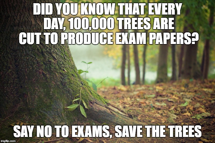 Trees | DID YOU KNOW THAT EVERY DAY, 100,000 TREES ARE CUT TO PRODUCE EXAM PAPERS? SAY NO TO EXAMS, SAVE THE TREES | image tagged in trees,exams | made w/ Imgflip meme maker