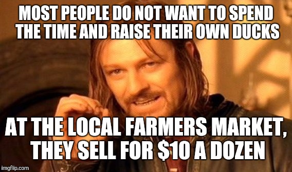 One Does Not Simply Meme | MOST PEOPLE DO NOT WANT TO SPEND THE TIME AND RAISE THEIR OWN DUCKS AT THE LOCAL FARMERS MARKET, THEY SELL FOR $10 A DOZEN | image tagged in memes,one does not simply | made w/ Imgflip meme maker