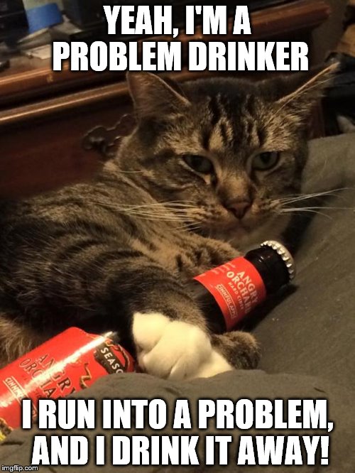 Alcoholic Cat | YEAH, I'M A PROBLEM DRINKER; I RUN INTO A PROBLEM, AND I DRINK IT AWAY! | image tagged in alcoholic cat | made w/ Imgflip meme maker