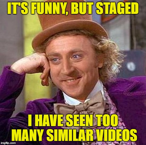 Creepy Condescending Wonka Meme | IT'S FUNNY, BUT STAGED I HAVE SEEN TOO MANY SIMILAR VIDEOS | image tagged in memes,creepy condescending wonka | made w/ Imgflip meme maker