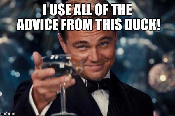 Leonardo Dicaprio Cheers Meme | I USE ALL OF THE ADVICE FROM THIS DUCK! | image tagged in memes,leonardo dicaprio cheers | made w/ Imgflip meme maker