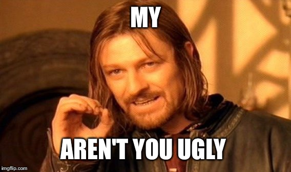 One Does Not Simply Meme | MY AREN'T YOU UGLY | image tagged in memes,one does not simply | made w/ Imgflip meme maker