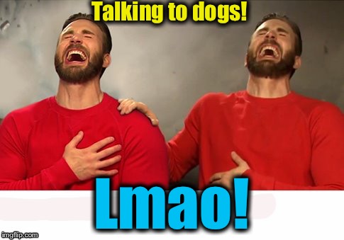 Talking to dogs! Lmao! | made w/ Imgflip meme maker