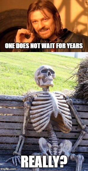 ONE DOES NOT WAIT FOR YEARS; REALLY? | image tagged in funny | made w/ Imgflip meme maker