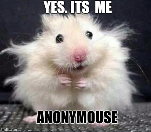 YES. ITS  ME ANONYMOUSE | made w/ Imgflip meme maker