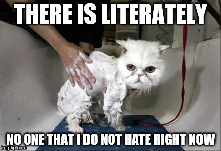 THERE IS LITERATELY; NO ONE THAT I DO NOT HATE RIGHT NOW | image tagged in bath time | made w/ Imgflip meme maker
