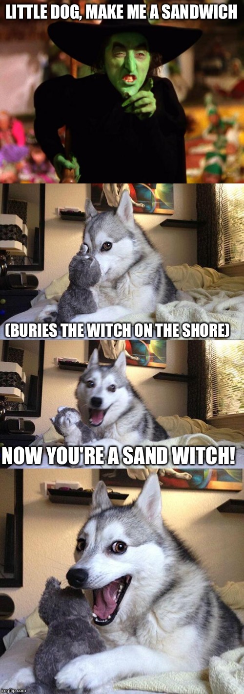 LITTLE DOG, MAKE ME A SANDWICH; (BURIES THE WITCH ON THE SHORE); NOW YOU'RE A SAND WITCH! | image tagged in memes,wicked witch,bad pun dog | made w/ Imgflip meme maker
