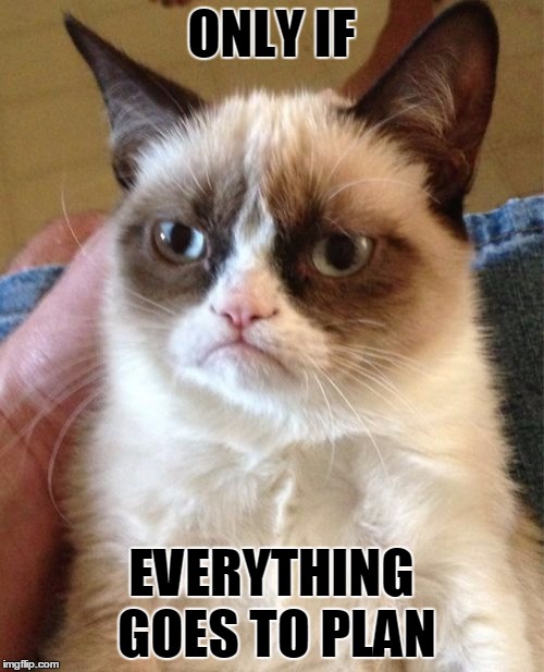 Grumpy Cat Meme | ONLY IF EVERYTHING GOES TO PLAN | image tagged in memes,grumpy cat | made w/ Imgflip meme maker