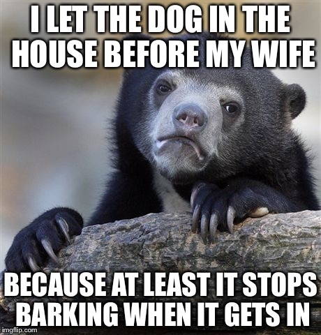 Confession Bear Meme | I LET THE DOG IN THE HOUSE BEFORE MY WIFE; BECAUSE AT LEAST IT STOPS BARKING WHEN IT GETS IN | image tagged in memes,confession bear | made w/ Imgflip meme maker