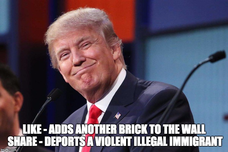 Donald Trump | LIKE - ADDS ANOTHER BRICK TO THE WALL SHARE - DEPORTS A VIOLENT ILLEGAL IMMIGRANT | image tagged in donald trump | made w/ Imgflip meme maker