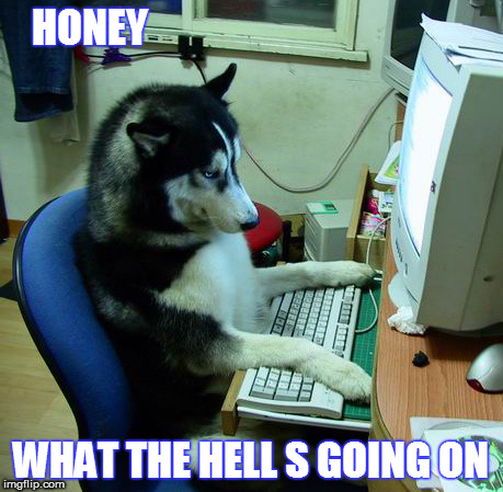 I Have No Idea What I Am Doing Meme | HONEY; WHAT THE HELL S GOING ON | image tagged in memes,i have no idea what i am doing | made w/ Imgflip meme maker
