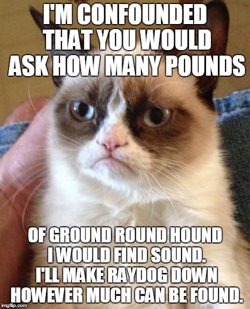 Want Some Dog Food? | I'M CONFOUNDED THAT YOU WOULD ASK HOW MANY POUNDS; OF GROUND ROUND HOUND I WOULD FIND SOUND. I'LL MAKE RAYDOG DOWN HOWEVER MUCH CAN BE FOUND. | image tagged in memes,grumpy cat,it came from the comments,raydog,meme off | made w/ Imgflip meme maker