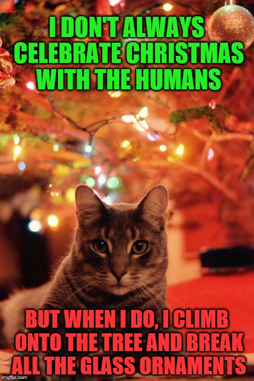 Most interesting cat in the world (Christmas) | I DON'T ALWAYS CELEBRATE CHRISTMAS WITH THE HUMANS; BUT WHEN I DO, I CLIMB ONTO THE TREE AND BREAK ALL THE GLASS ORNAMENTS | image tagged in christmas cat,memes,the most interesting cat in the world | made w/ Imgflip meme maker