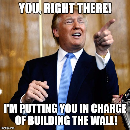 YOU, RIGHT THERE! I'M PUTTING YOU IN CHARGE OF BUILDING THE WALL! | made w/ Imgflip meme maker