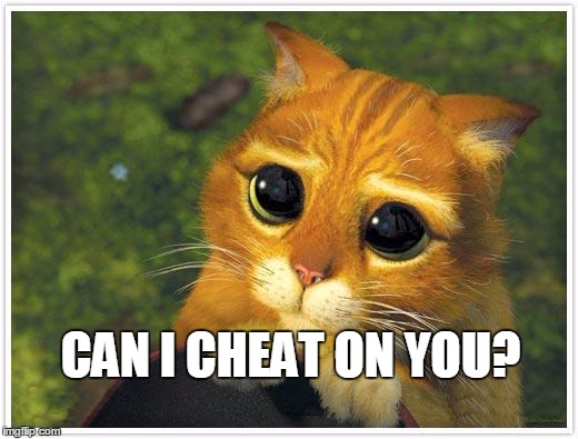 Shrek Cat Meme | CAN I CHEAT ON YOU? | image tagged in memes,shrek cat | made w/ Imgflip meme maker