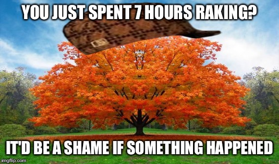 This just happened to me | YOU JUST SPENT 7 HOURS RAKING? IT'D BE A SHAME IF SOMETHING HAPPENED | image tagged in fall,tree | made w/ Imgflip meme maker