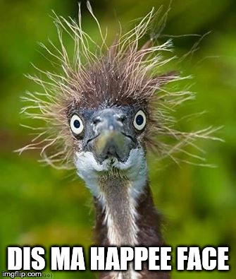 happee  | DIS MA HAPPEE FACE | image tagged in happy face | made w/ Imgflip meme maker