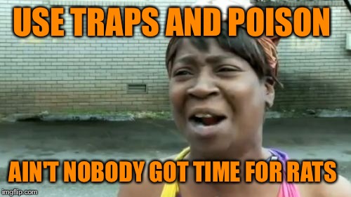 Ain't Nobody Got Time For That | USE TRAPS AND POISON; AIN'T NOBODY GOT TIME FOR RATS | image tagged in memes,aint nobody got time for that | made w/ Imgflip meme maker