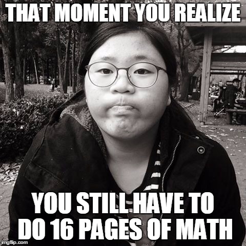 THAT MOMENT YOU REALIZE; YOU STILL HAVE TO DO 16 PAGES OF MATH | image tagged in dissapoint | made w/ Imgflip meme maker