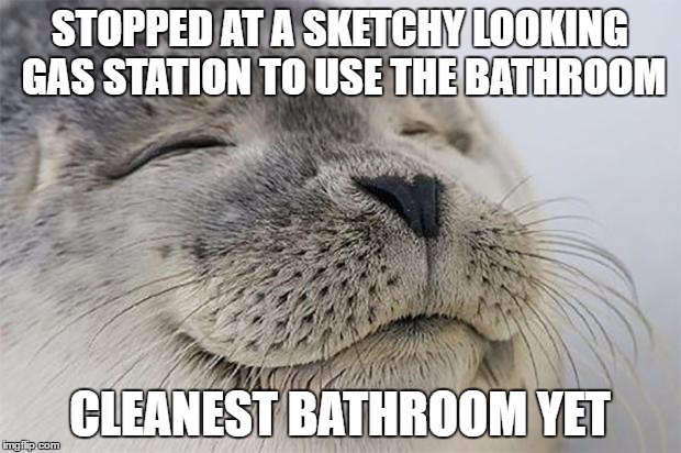 Good for you Qik Gas & Go!!! | STOPPED AT A SKETCHY LOOKING GAS STATION TO USE THE BATHROOM; CLEANEST BATHROOM YET | image tagged in memes,satisfied seal | made w/ Imgflip meme maker