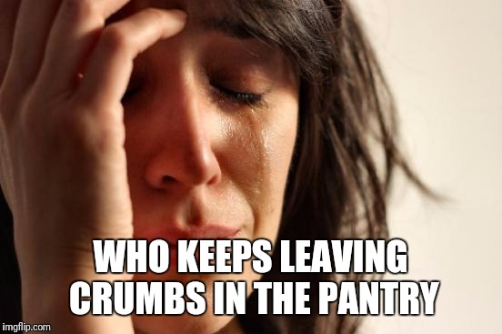 First World Problems Meme | WHO KEEPS LEAVING CRUMBS IN THE PANTRY | image tagged in memes,first world problems | made w/ Imgflip meme maker