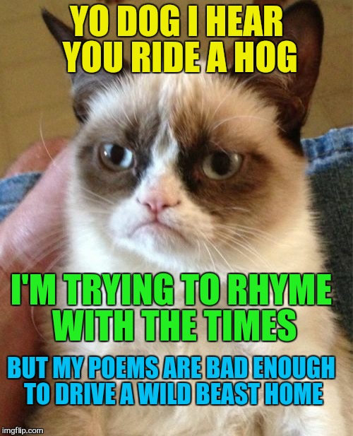 Grumpy Cat Meme | YO DOG I HEAR YOU RIDE A HOG I'M TRYING TO RHYME WITH THE TIMES BUT MY POEMS ARE BAD ENOUGH TO DRIVE A WILD BEAST HOME | image tagged in memes,grumpy cat | made w/ Imgflip meme maker