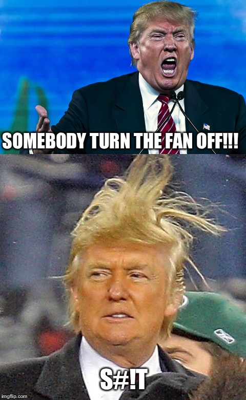 Hair raising | SOMEBODY TURN THE FAN OFF!!! S#!T | image tagged in trump,hair | made w/ Imgflip meme maker