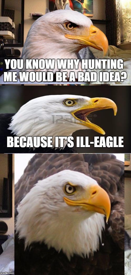 Good Pun Eagle Soars Into The Sky! But Don't Shoot it XD | YOU KNOW WHY HUNTING ME WOULD BE A BAD IDEA? BECAUSE IT'S ILL-EAGLE | image tagged in memes,patriotic eagle | made w/ Imgflip meme maker