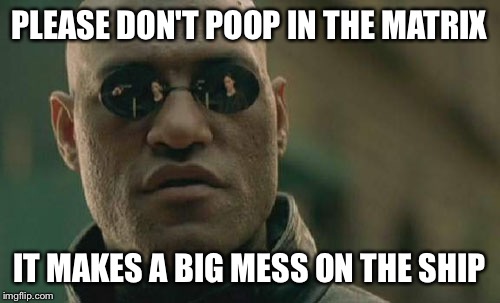 Matrix Morpheus Meme | PLEASE DON'T POOP IN THE MATRIX; IT MAKES A BIG MESS ON THE SHIP | image tagged in memes,matrix morpheus | made w/ Imgflip meme maker