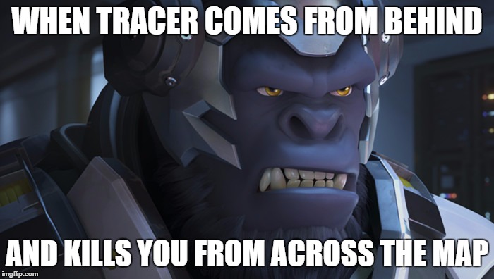 Winston Overwatch | WHEN TRACER COMES FROM BEHIND; AND KILLS YOU FROM ACROSS THE MAP | image tagged in winston overwatch | made w/ Imgflip meme maker