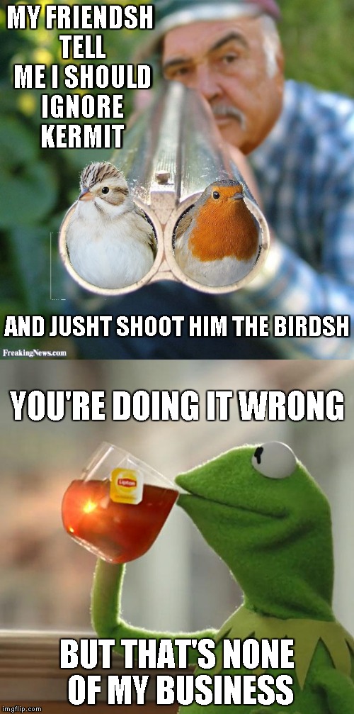 And the rivalry continues... | MY FRIENDSH TELL ME I SHOULD IGNORE KERMIT; AND JUSHT SHOOT HIM THE BIRDSH; YOU'RE DOING IT WRONG; BUT THAT'S NONE OF MY BUSINESS | image tagged in memes,sean connery shotgun,sean connery shoots the birds,but that's none of my business,you're doing it wrong | made w/ Imgflip meme maker