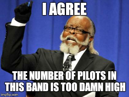 Too Damn High Meme | I AGREE THE NUMBER OF PILOTS IN THIS BAND IS TOO DAMN HIGH | image tagged in memes,too damn high | made w/ Imgflip meme maker