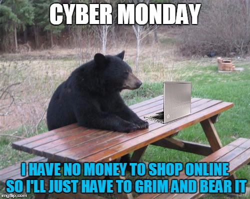 Bad Luck Bear | CYBER MONDAY; I HAVE NO MONEY TO SHOP ONLINE SO I'LL JUST HAVE TO GRIM AND BEAR IT | image tagged in memes,bad luck bear | made w/ Imgflip meme maker