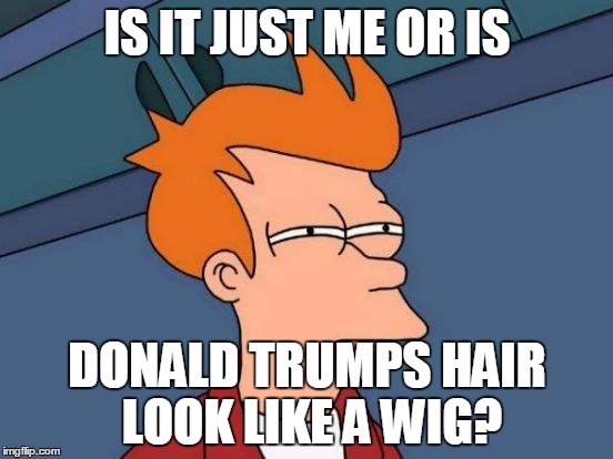 Futurama Fry | IS IT JUST ME OR IS; DONALD TRUMPS HAIR LOOK LIKE A WIG? | image tagged in memes,futurama fry | made w/ Imgflip meme maker