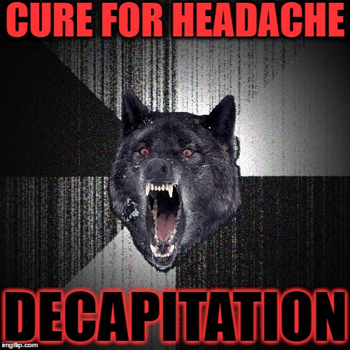Insanity Wolf Meme | CURE FOR HEADACHE; DECAPITATION | image tagged in memes,insanity wolf | made w/ Imgflip meme maker