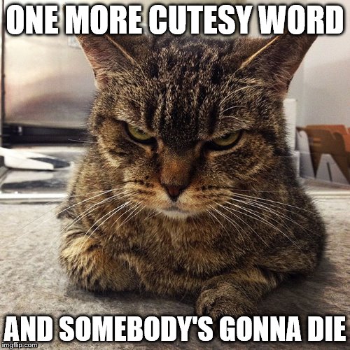 ONE MORE CUTESY WORD; AND SOMEBODY'S GONNA DIE | image tagged in fed up | made w/ Imgflip meme maker
